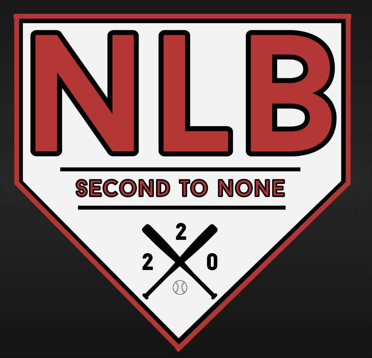 NEXT LEVEL BASEBALL ACADEMY Springdale, AR